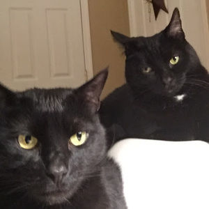 Meet your Posher, Carol